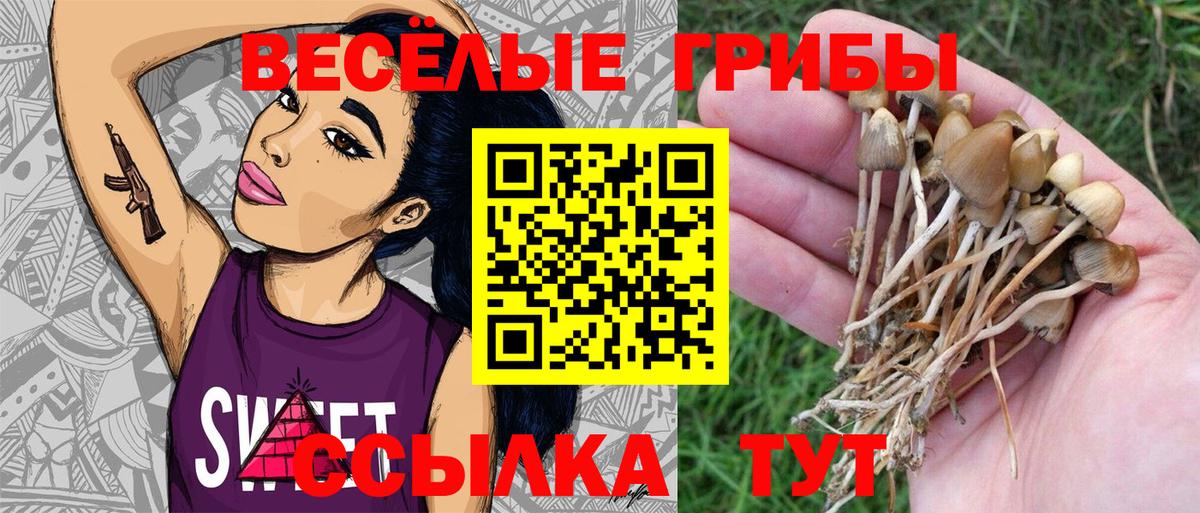Галлюциногенные грибы GOLDEN TEACHER Амурск