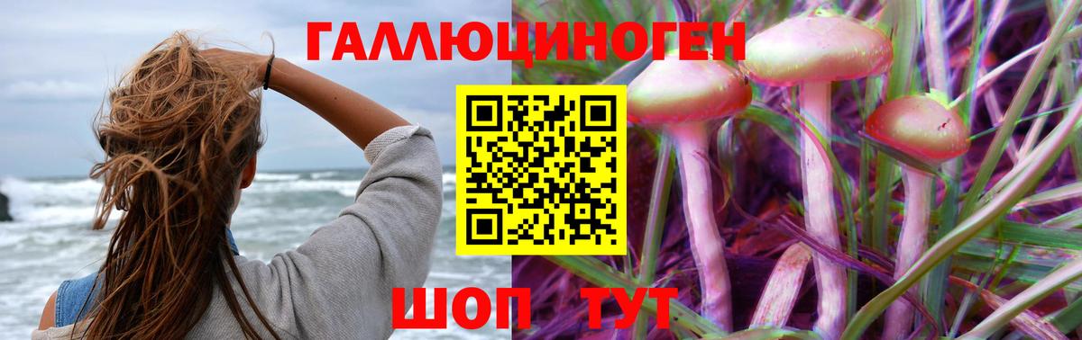 Галлюциногенные грибы Magic Shrooms  Вход с VPN  Амурск 
